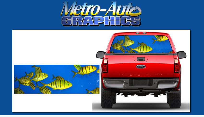 MG9104 - Tropical Fish Window Truck Graphic Tint