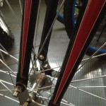 Bicycle-Springer-Forks-Decal-5